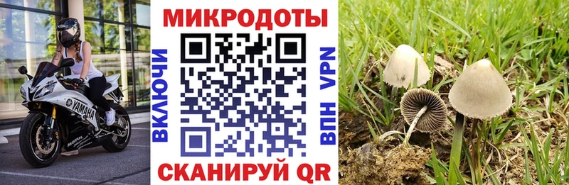 продажа наркотиков  Горбатов  Псилоцибиновые грибы Psilocybe 